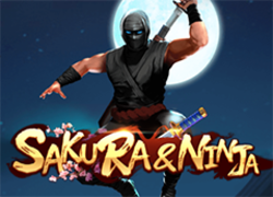 Sakura Ninja