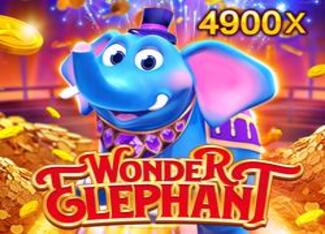 Wonder Elephant