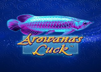 Arowanas Luck