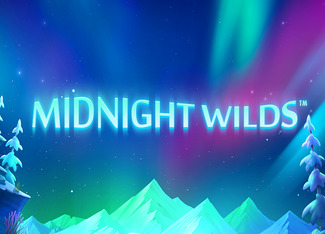 Midnight Wilds