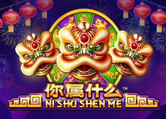 Ni Shu Shen Me