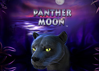 Panther Moon