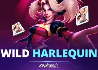 Wild Harlequin