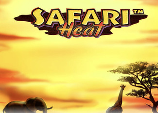 Safari Heat